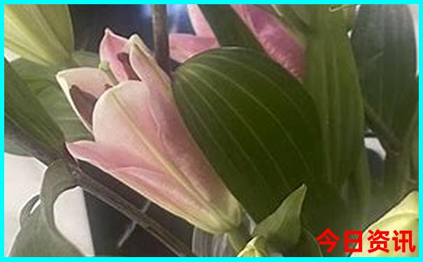溪口有什么好玩的景点
